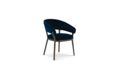 RAY | Dining Chair -Exquisite Furniture Store Ray Bridge pers 1