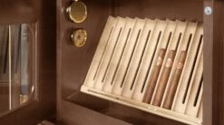 EDEN-ROCK | Bar Rocky