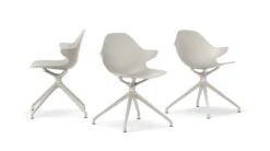 CHISTERA | Dining Armchair